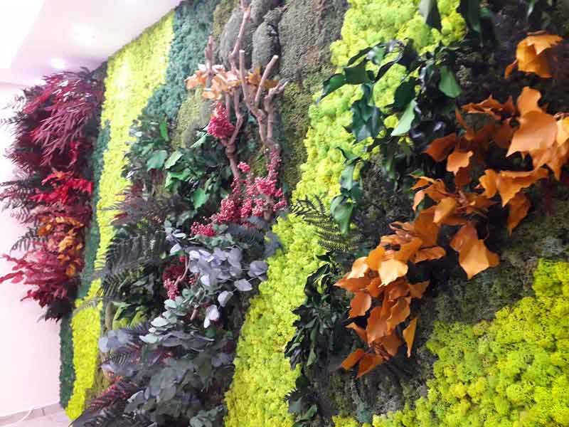 Зелена стена MOSS wild  шоурум БИОборд