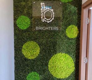 Зелена стена от мъх с фирмено лого на Brighters