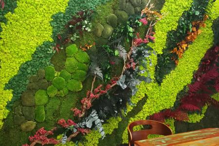 Вертикални градини MOSS wild