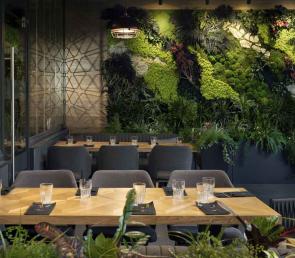 MOSS wild green walls in GINGER LAYOUT