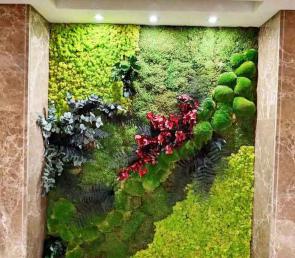 Green wall of plants in Devin