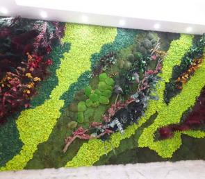Зелена стена серия MOSS wild в шоурум