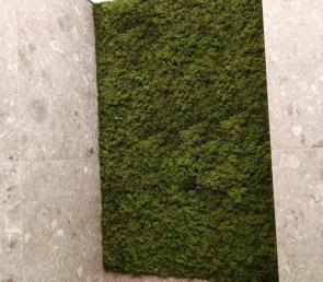 Green Scandinavian moss in the bathroom