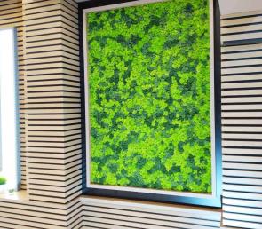 Mix of three colors of Scandinavian moss at the Silver Hotel