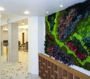 Вертикално озеленяване MOSS wild в Гранд Хотел Съни Бийч