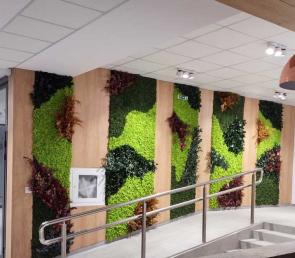 Зелена стена MOSS wild в Библиотека Бургас