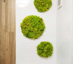 MOSS circles in the bathroom of an apartment in Dubai, UAE