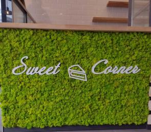 Preserved moss at Sweet Corner confectionery