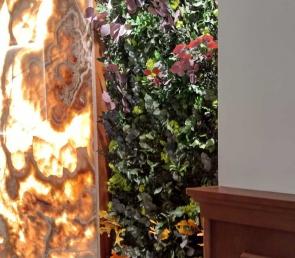 Green walls of moss and forest plants at a restaurant