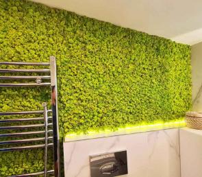 MOSS wall in the bathroom of a family house