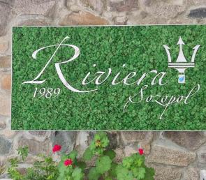 Green branding - tray with moss and logo