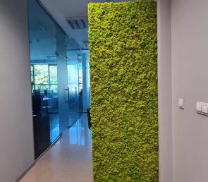 One-sided preserved moss divider