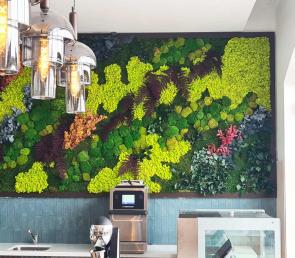 Зелена стена в СПА лоби на хотел Hyatt Regency Pravets