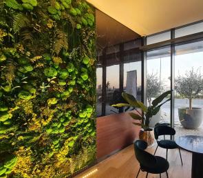 Green wall at the lobby of Nobles Tower in Dubai