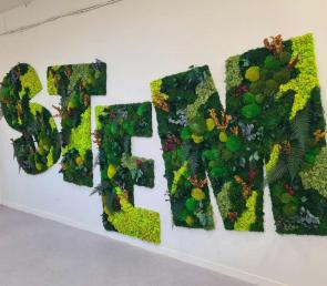 Giant moss STEM letters