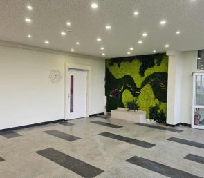 Green moss wall at a secondary school