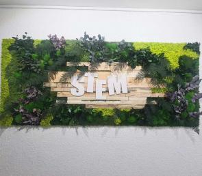 Green wall at 91. German Language School