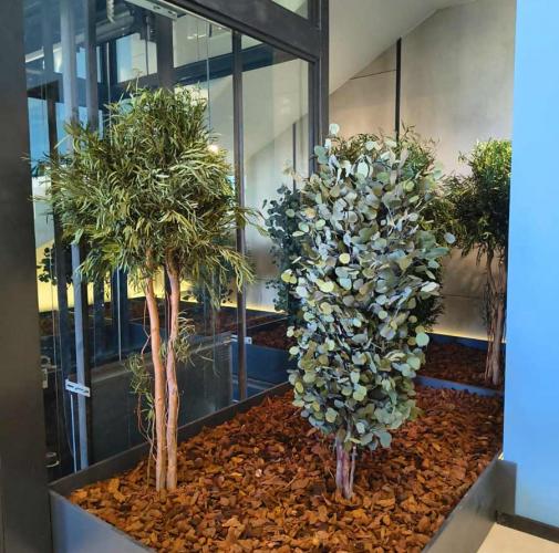 Decorative natural trees in the lobby of an office building | BIOboard
